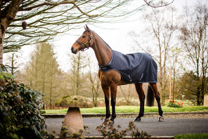 Horseware AMIGO Führmaschinendecke Walker